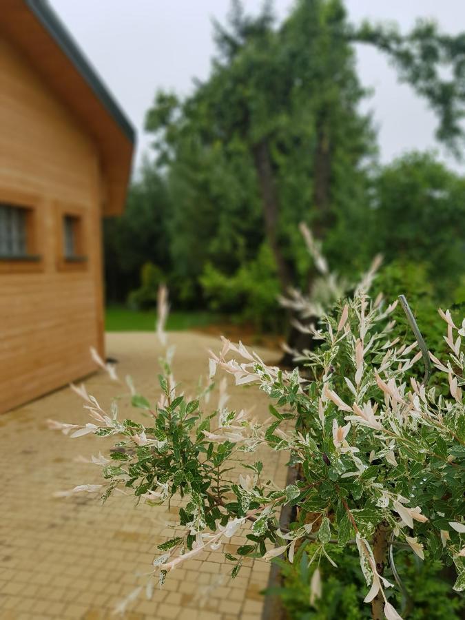 Kosiedlisko Villa Kraśnik Екстериор снимка